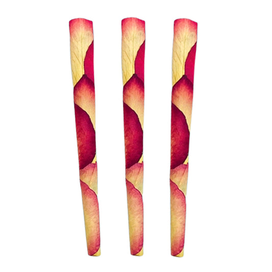 3 Malibu Rose Petal King Cones